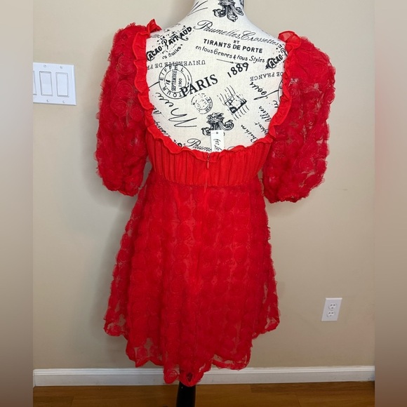 For Love And Lemons Red Mini Dress - Picture 3 of 10